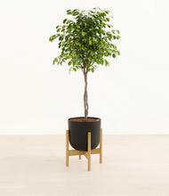 Load image into Gallery viewer, Stone Black stand:bamboo
