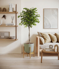 Load image into Gallery viewer, Sage Green stand:bamboo
