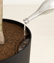 Load image into Gallery viewer, Stone Black
