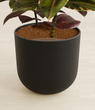 Load image into Gallery viewer, Stone Black stand:all
