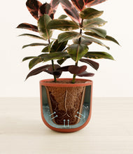 Load image into Gallery viewer, Earth Red stand:all
