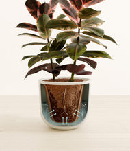 Load image into Gallery viewer, Natural Bamboo stand:all
