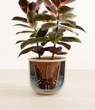 Load image into Gallery viewer, Sandy Pink stand:all
