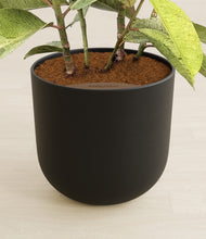 Load image into Gallery viewer, Stone Black stand:all
