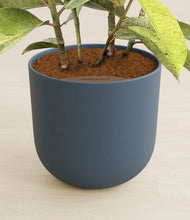 Load image into Gallery viewer, Iron Gray stand:all
