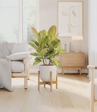 Load image into Gallery viewer, Natural Bamboo stand:bamboo
