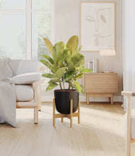 Load image into Gallery viewer, Stone Black stand:bamboo
