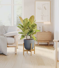 Load image into Gallery viewer, Sage Green stand:bamboo
