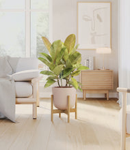Load image into Gallery viewer, Sandy Pink stand:bamboo
