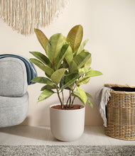 Load image into Gallery viewer, Natural Bamboo stand:all
