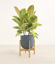 Load image into Gallery viewer, Iron Gray stand:bamboo
