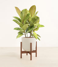 Load image into Gallery viewer, Natural Bamboo stand:walnut

