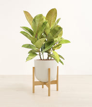 Load image into Gallery viewer, Natural Bamboo stand:bamboo

