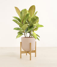 Load image into Gallery viewer, Sandy Pink stand:bamboo
