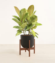 Load image into Gallery viewer, Stone Black stand:walnut
