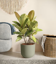 Load image into Gallery viewer, Sage Green stand:all
