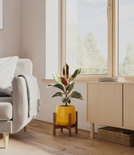 Load image into Gallery viewer, Mustard stand:walnut

