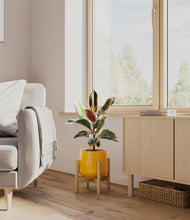 Load image into Gallery viewer, Mustard stand:bamboo
