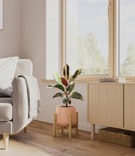 Load image into Gallery viewer, Calm Rose stand:bamboo
