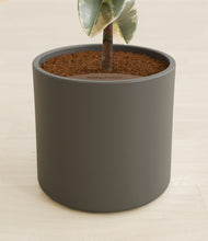 Load image into Gallery viewer, Dark Olive stand:all
