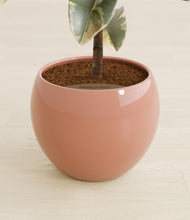 Load image into Gallery viewer, Calm Rose stand:all
