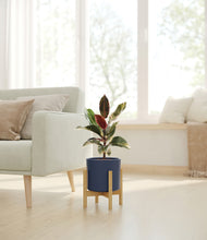 Load image into Gallery viewer, Deep Navy stand:bamboo
