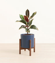 Load image into Gallery viewer, Deep Navy stand:walnut
