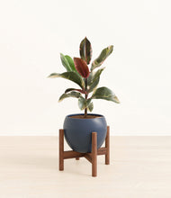 Load image into Gallery viewer, Deep Navy stand:walnut
