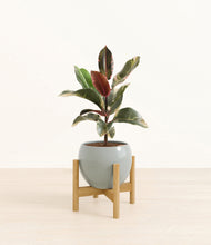 Load image into Gallery viewer, Deep Ocean stand:bamboo
