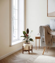 Load image into Gallery viewer, Shiny EggWhite stand:walnut
