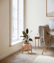 Load image into Gallery viewer, Calm Rose stand:bamboo
