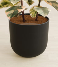 Load image into Gallery viewer, Stone Black stand:all
