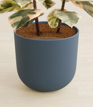Load image into Gallery viewer, Iron Gray stand:all
