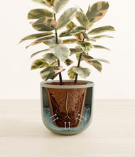 Load image into Gallery viewer, Sage Green stand:all
