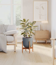 Load image into Gallery viewer, Iron Gray stand:bamboo
