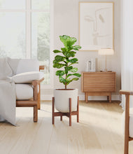 Load image into Gallery viewer, Natural Bamboo stand:walnut
