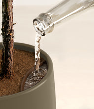 Load image into Gallery viewer, Olive stand:all
