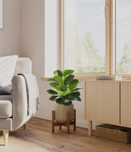 Load image into Gallery viewer, Olive stand:walnut
