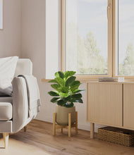 Load image into Gallery viewer, Olive stand:bamboo
