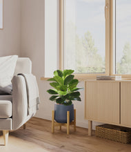 Load image into Gallery viewer, Deep Navy stand:bamboo
