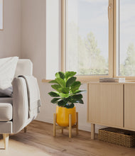 Load image into Gallery viewer, Mustard stand:bamboo
