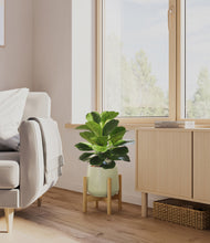 Load image into Gallery viewer, Turquoise stand:bamboo
