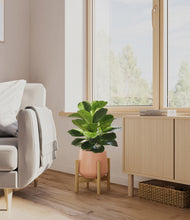 Load image into Gallery viewer, Calm Rose stand:bamboo
