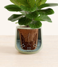 Load image into Gallery viewer, Turquoise stand:all
