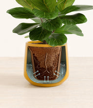 Load image into Gallery viewer, Mustard stand:all

