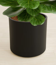 Load image into Gallery viewer, Black stand:all
