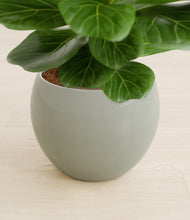 Load image into Gallery viewer, Deep Ocean stand:all
