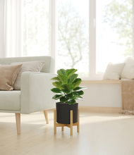 Load image into Gallery viewer, Black stand:bamboo
