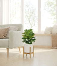 Load image into Gallery viewer, White stand:bamboo

