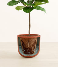 Load image into Gallery viewer, Earth Red stand:all
